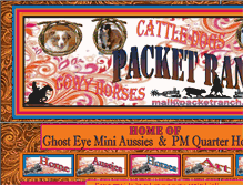 Tablet Screenshot of packetranch.com